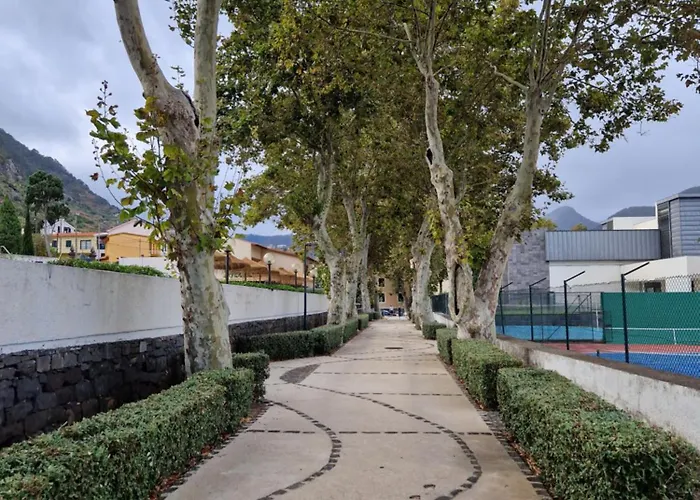 C - Charming Vacation With Free Private Parking * מצ'יקו